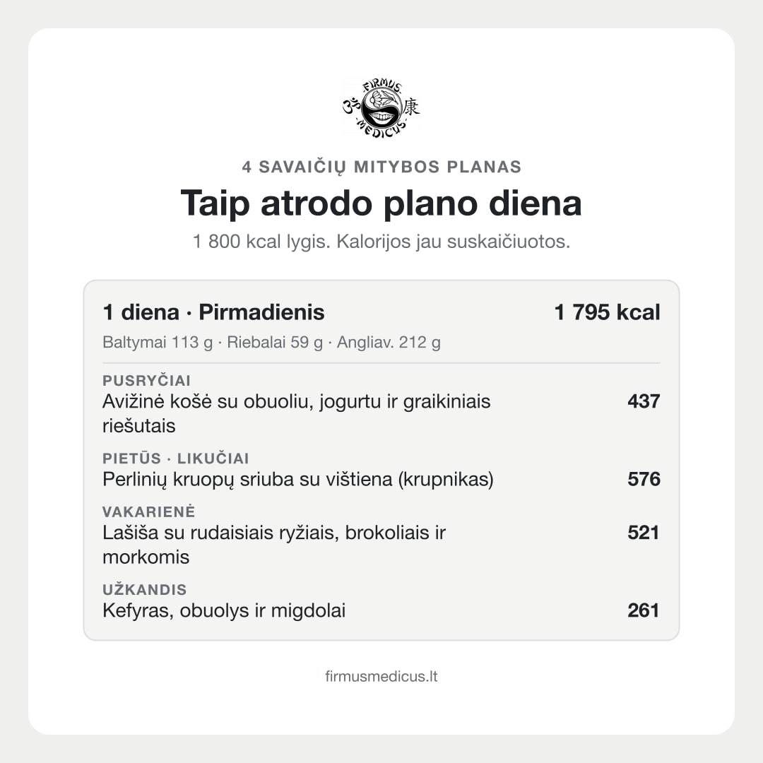 Так выглядит день плана (текст на литовском)