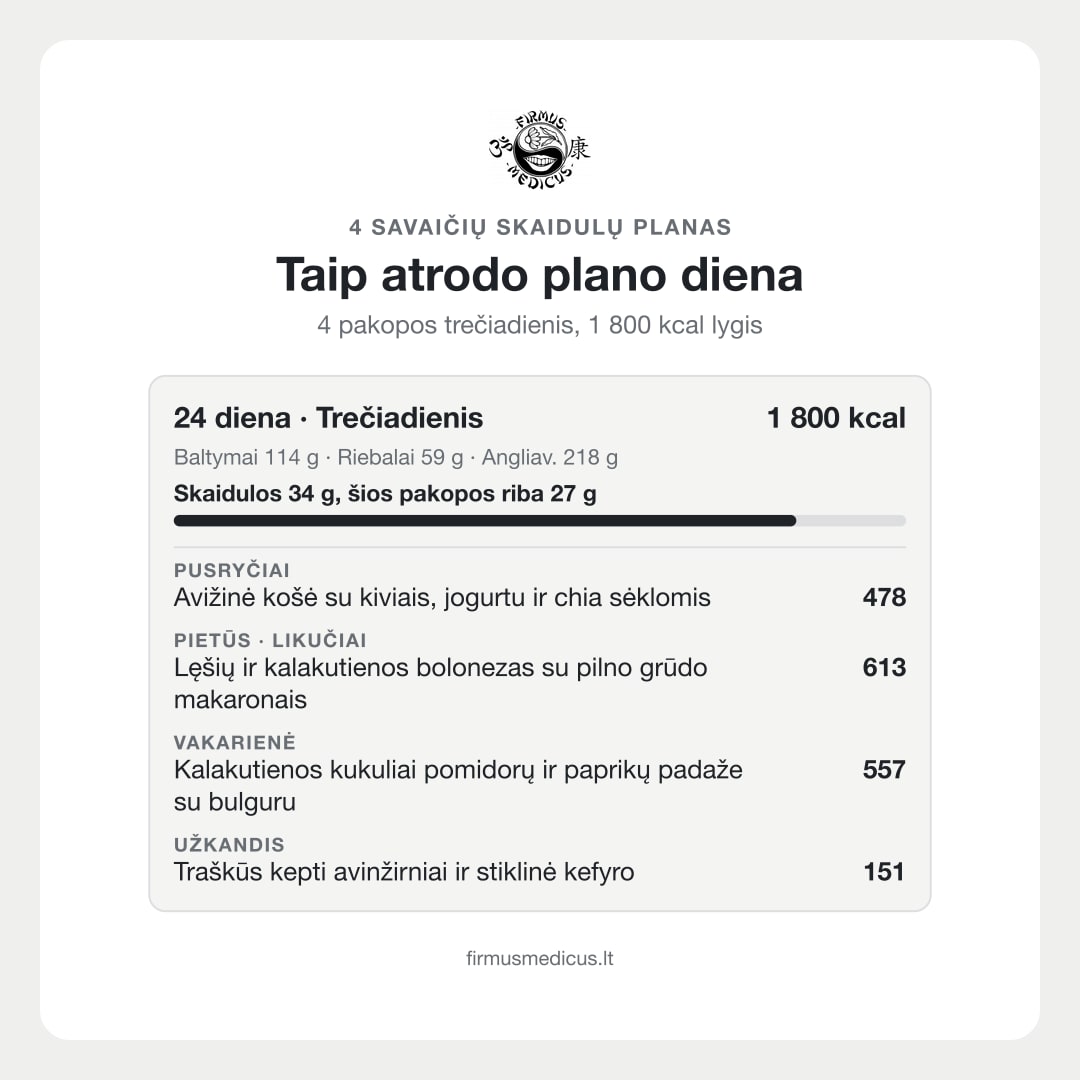 What a plan day looks like (Lithuanian text)